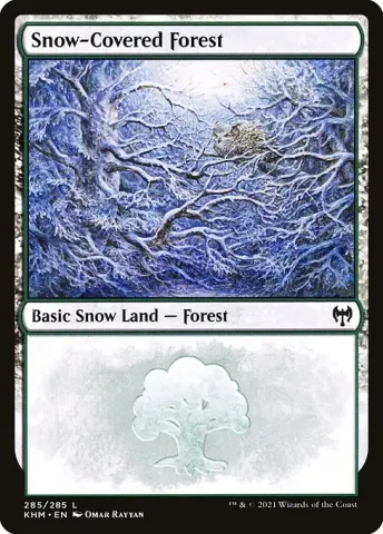 Snow-Covered Forest · 285