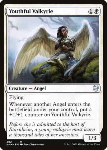 Youthful Valkyrie · 382