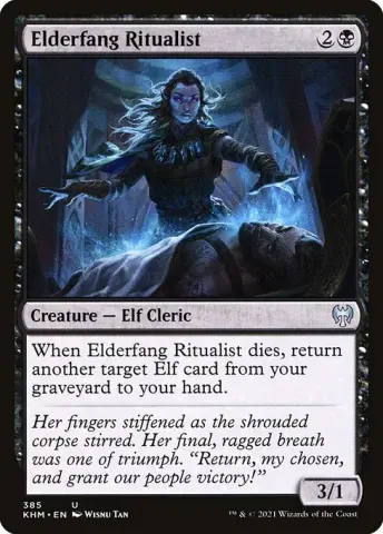 Elderfang Ritualist · 385