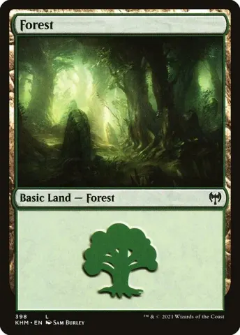 Forest · 398