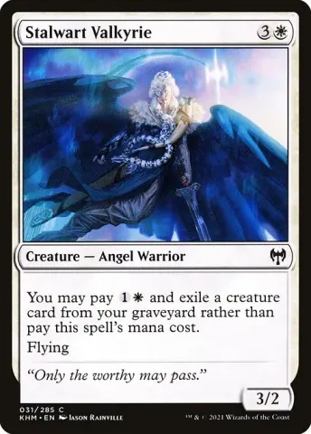 Stalwart Valkyrie · 31