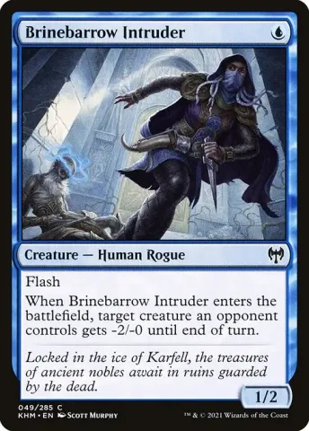Brinebarrow Intruder · 49