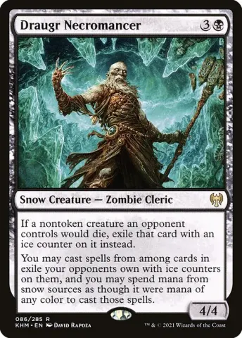 Draugr Necromancer · 86
