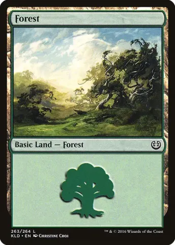 Forest · 263