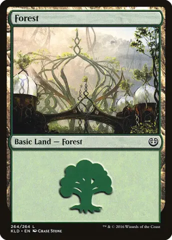 Forest · 264