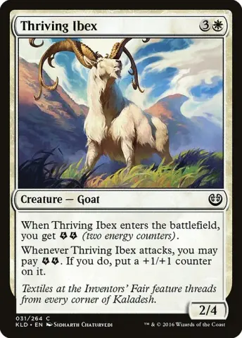 Thriving Ibex · 31
