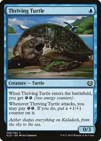 Thriving Turtle · 66