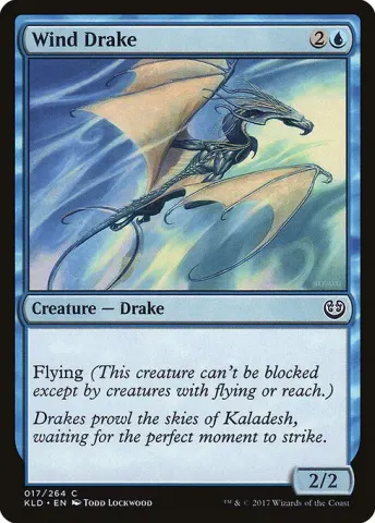 Wind Drake · 70