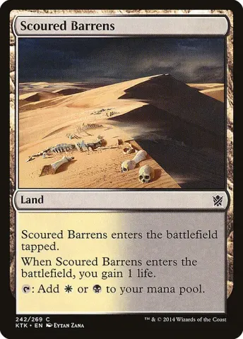 Scoured Barrens · 242