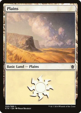 Plains · 250