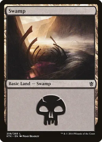Swamp · 258