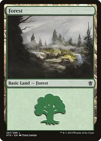 Forest · 267