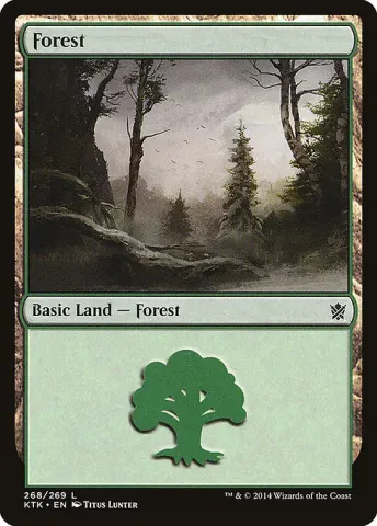 Forest · 268