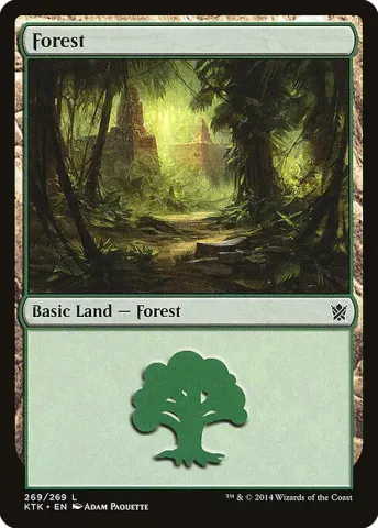 Forest · 269