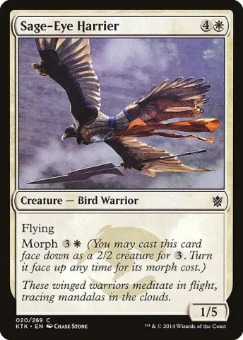 Sage-Eye Harrier · 20