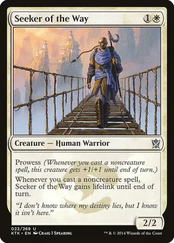 Seeker of the Way · 22