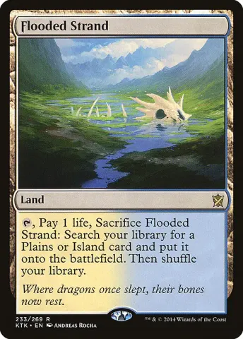 Flooded Strand · 233