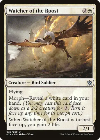Watcher of the Roost · 30