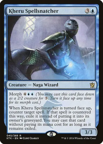 Kheru Spellsnatcher · 45