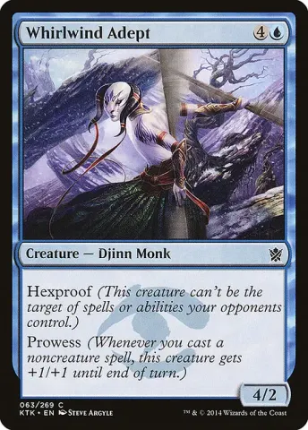 Whirlwind Adept · 63