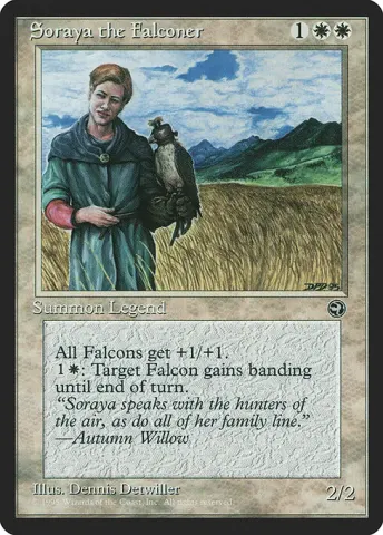 Soraya the Falconer · 18