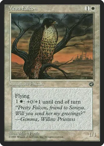 Mesa Falcon · 10b