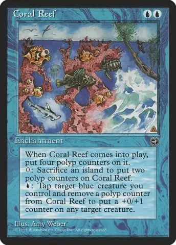 Coral Reef · 24