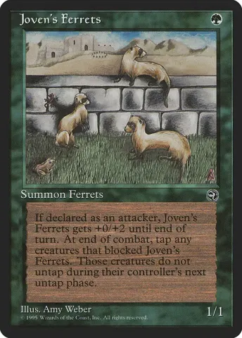 Joven's Ferrets · 89