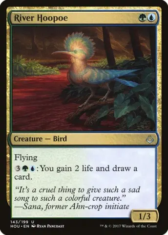 River Hoopoe · 143