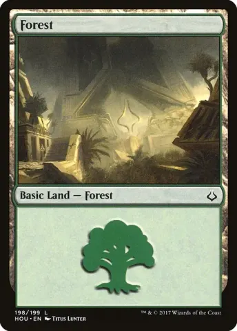 Forest · 198