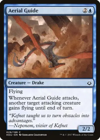 Aerial Guide · 29