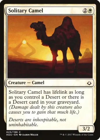 Solitary Camel · 23