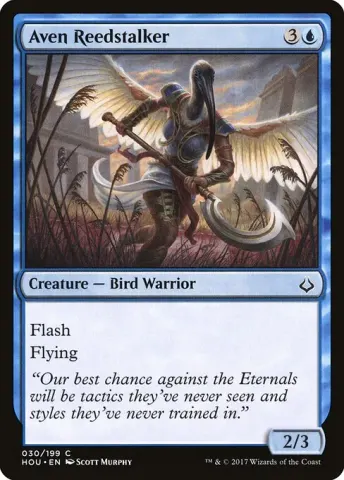 Aven Reedstalker · 30