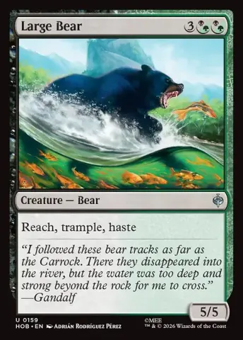 Large Bear · 159