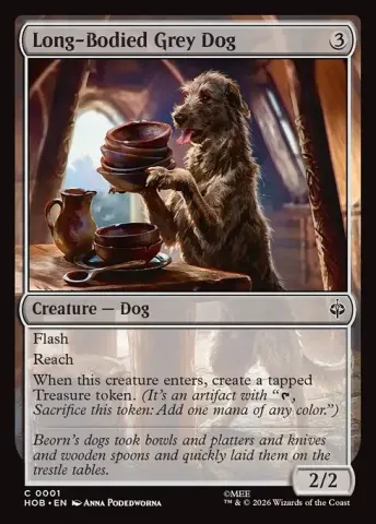 Long-Bodied Grey Dog · 1