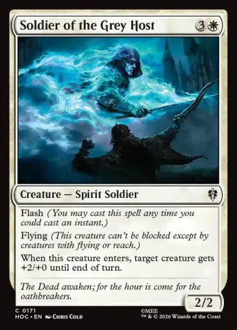 Soldier of the Grey Host · 171