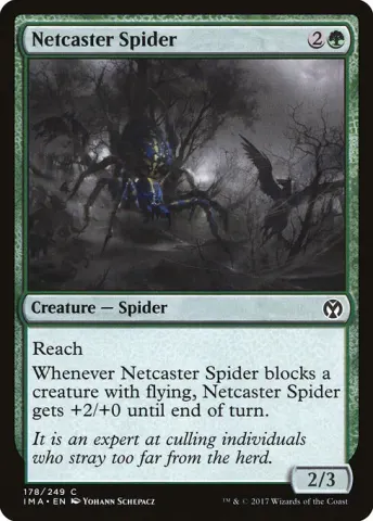 Netcaster Spider · 178