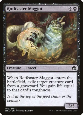 Rotfeaster Maggot · 105