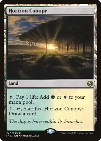 Horizon Canopy · 240