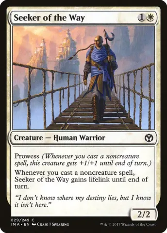 Seeker of the Way · 29