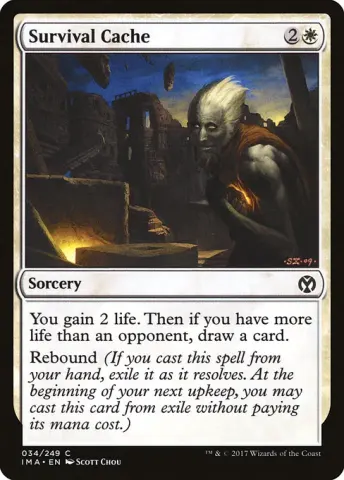 Survival Cache · 34