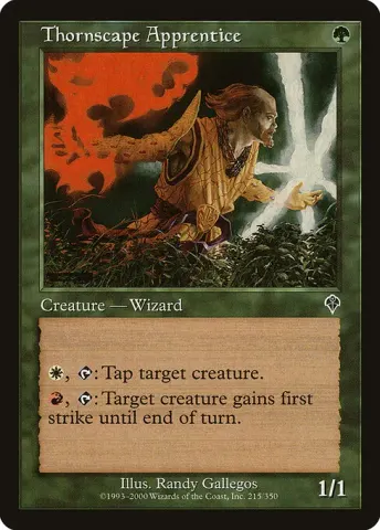 Thornscape Apprentice · 215