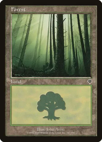 Forest · 347