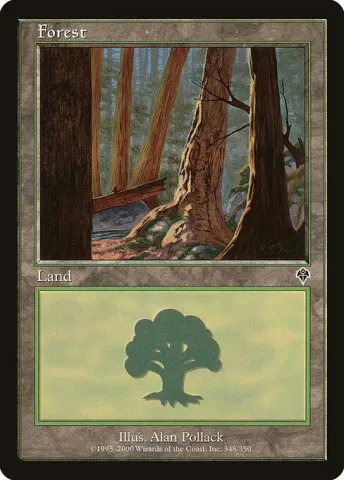 Forest · 348