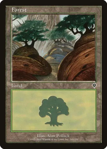 Forest · 349