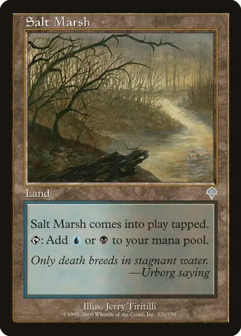 Salt Marsh · 326