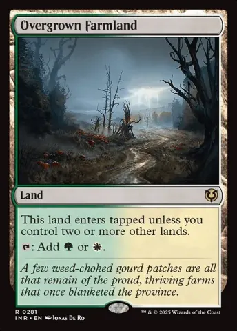 Overgrown Farmland · 281