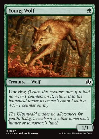 Young Wolf · 227