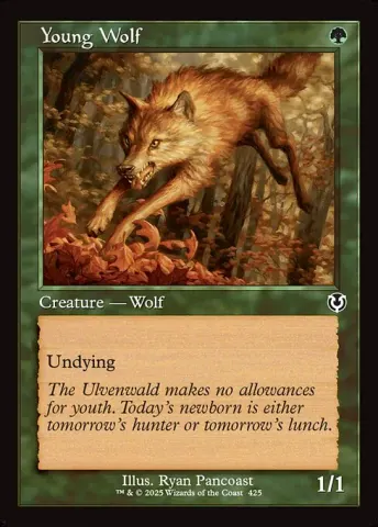 Young Wolf · 425