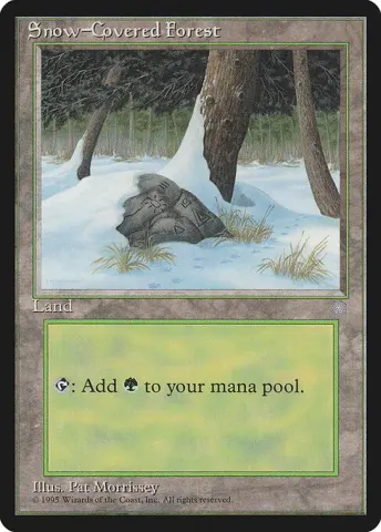 Snow-Covered Forest · 383